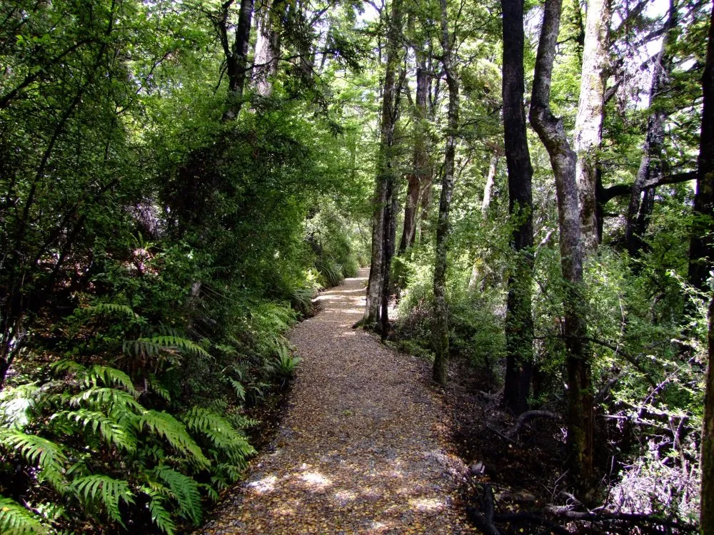 the path