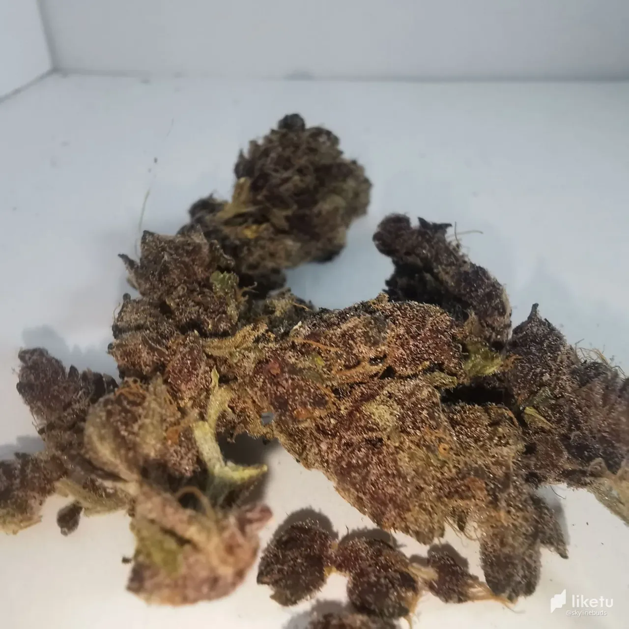 405opjwkyr79cy5_3.jpg