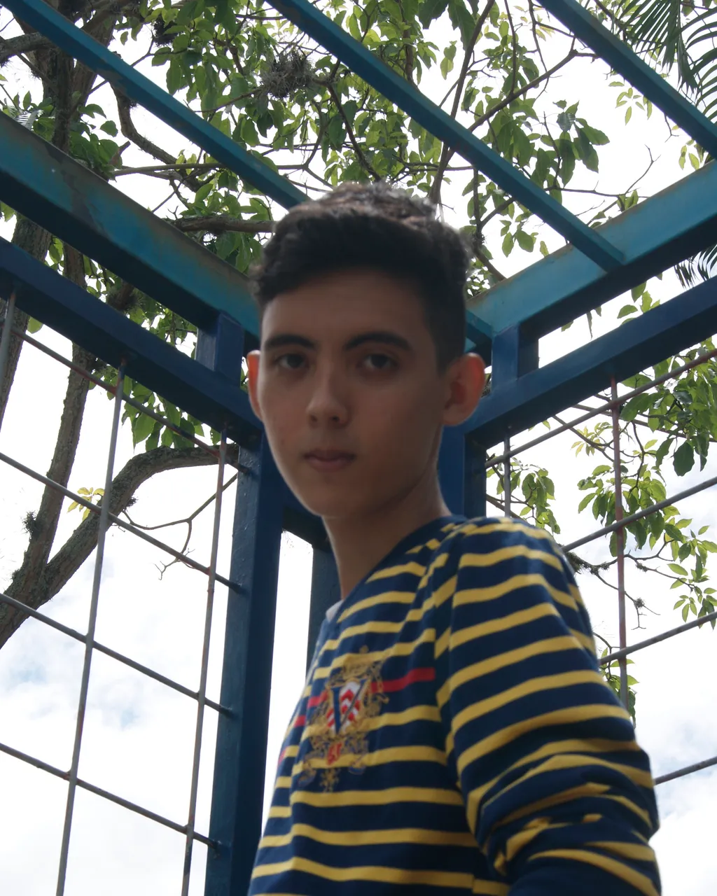 P1.JPG