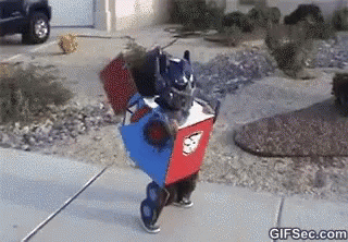 untitled.gif