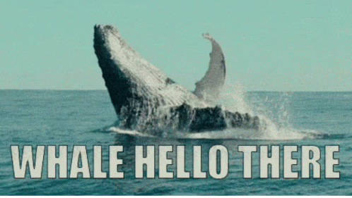 untitled.gif