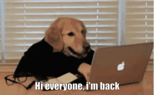 untitled.gif