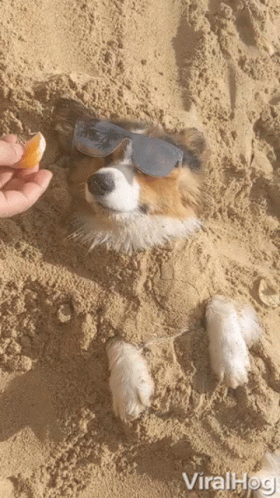untitled.gif