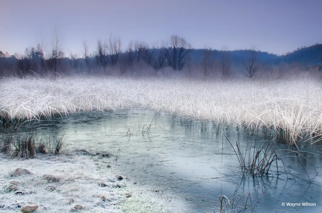 Congratulations to Wayne Wilson for winning the recent Winter Fog And Mist Assignment with the image, Frozen Fog.