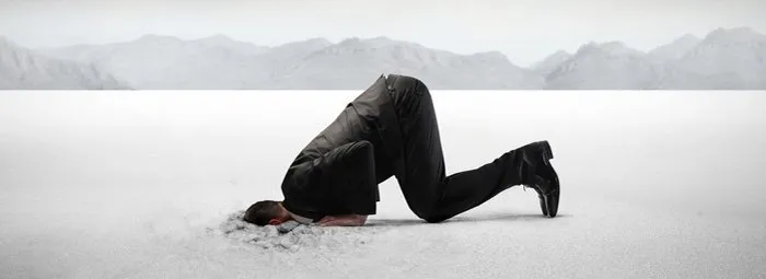 headinsand66cb6.jpg