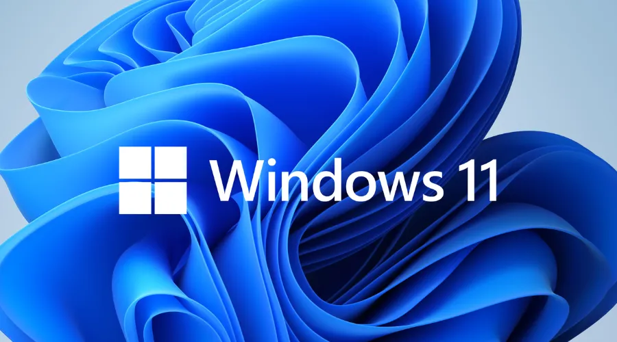 w11