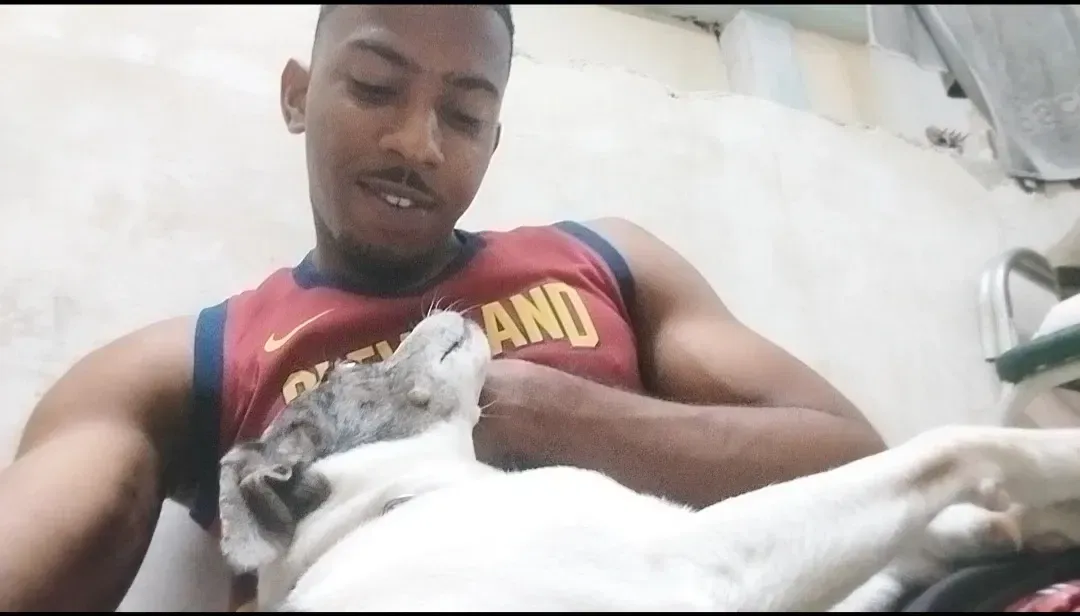 o2eSF8nWj8BnqHAJ_Screenshot_20250225_115339_Gallery.webp