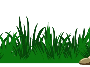 kisspngpaperchickenquillingroosterartcartoongrass5ac31de2cf18a1.4532441015227366108483.png
