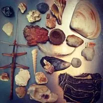 image of nature collections