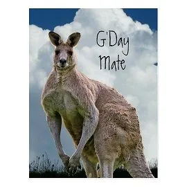 gday_mate_kangaroo_postcard-rb34e6d0d424f493c9b62810a087692e1_vgbaq_8byvr_540.jpg