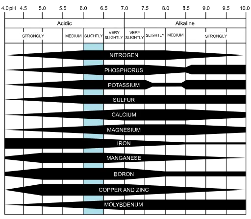 Nutritional elements availability within soil varies with pH. Light blue color represents the ideal range for most plants.