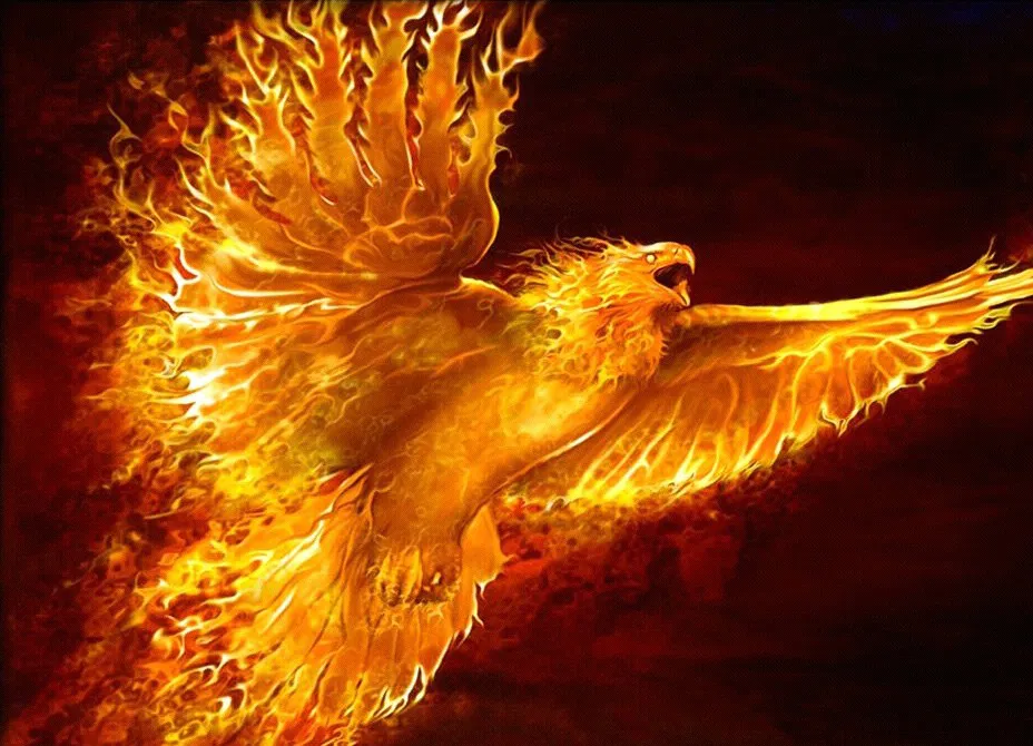 ETC Phoenix