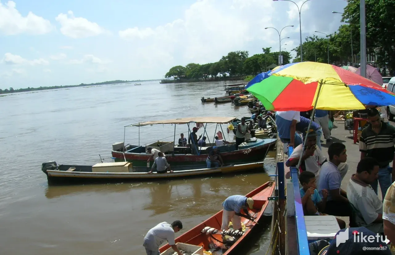clehktr9v01d65dsz3535e254_pesca.webp