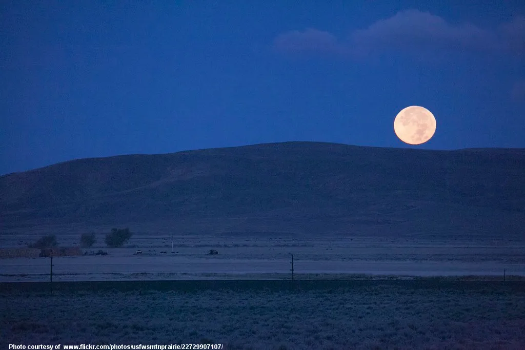 FullMoonInBlueEvening-001-071019.jpg
