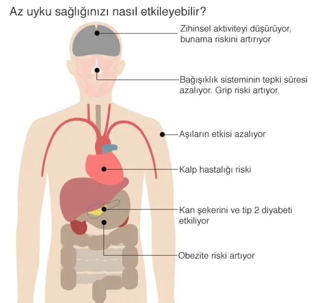 Ekran Alıntısı2.JPG