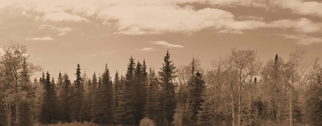 pano21 window view cropped sepia.jpg