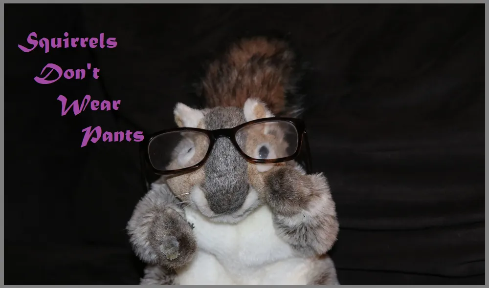 squirrels don't wear pants.png