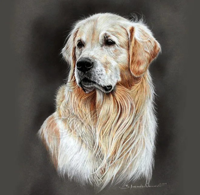 DIbujo-perro-realistas-colores-7.jpg