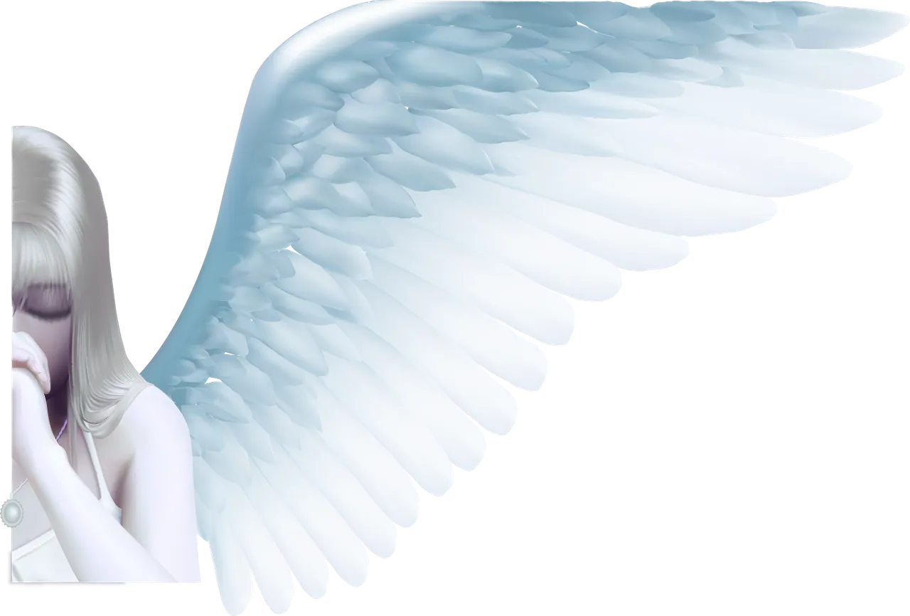3543cc2a482548cc22573f624c05c38f.png