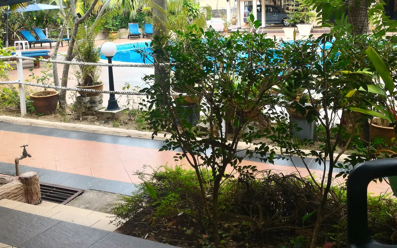 P_20170401_141125_HDR - Copy.jpg