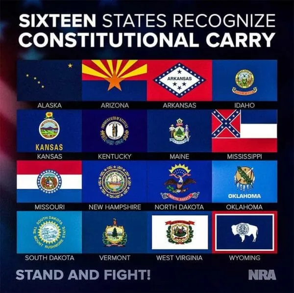 Constitutional-Carry-600x597 (1).jpg