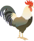 Chicken vector Badge Right.png