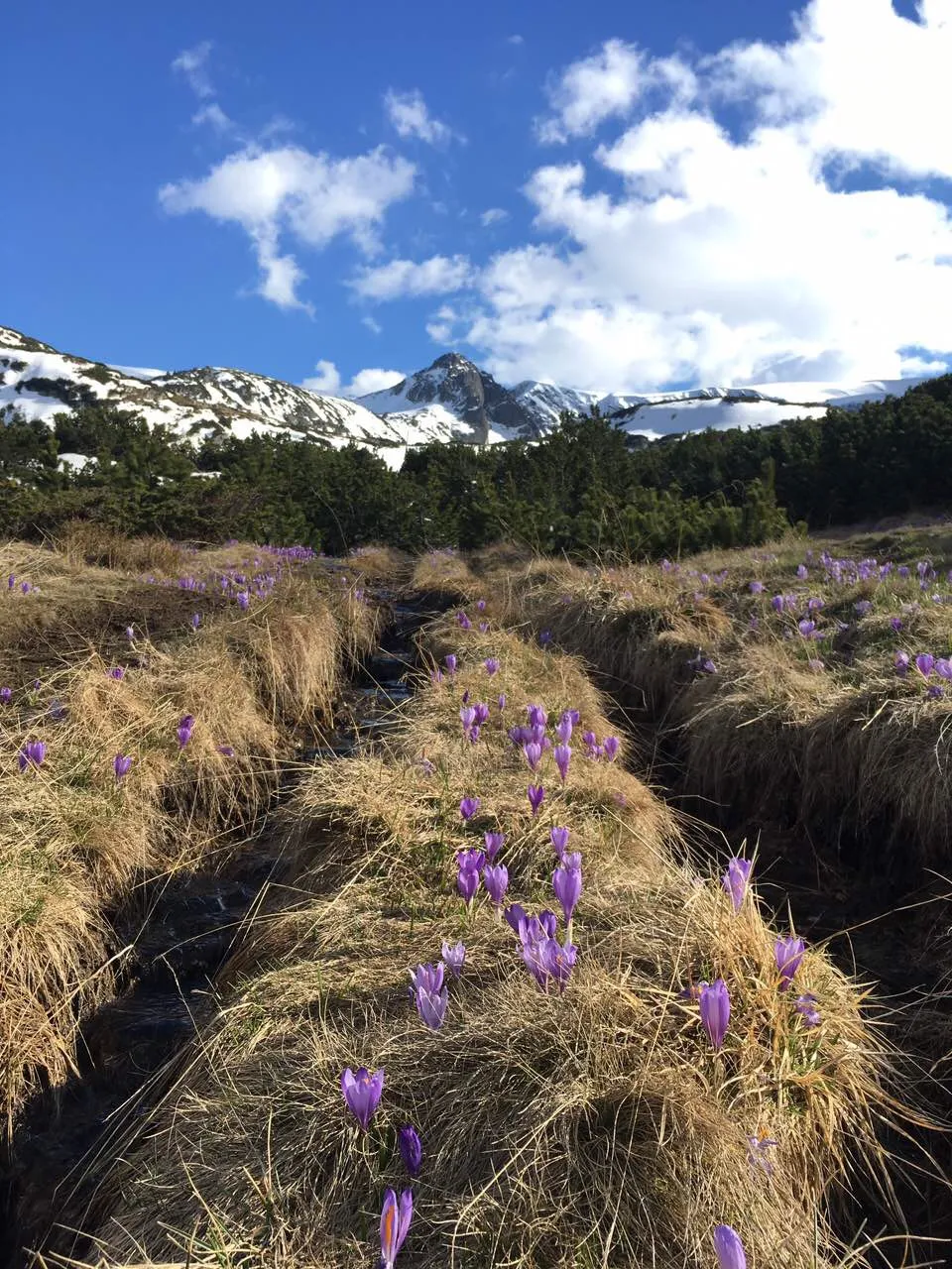 Photo 12.05.19, 14 46 41.jpg