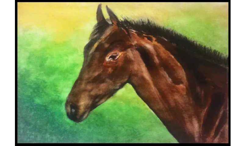 horse black and white bg.jpg