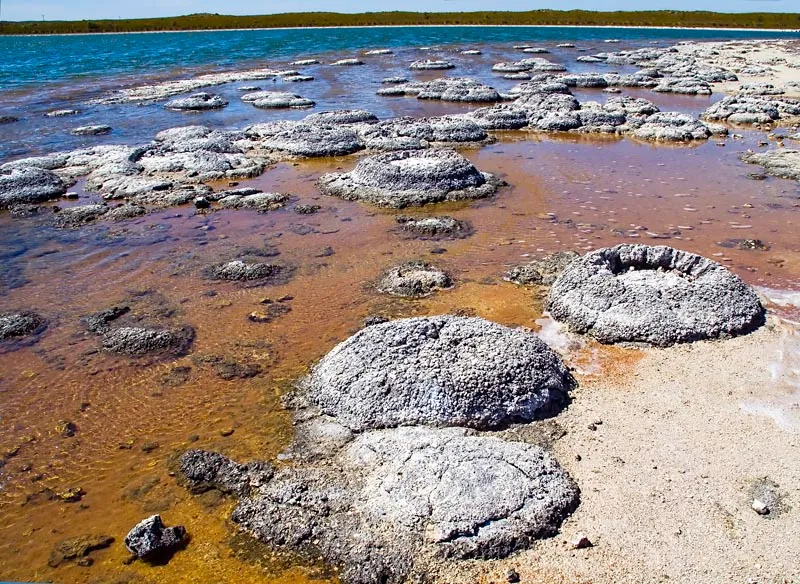 Lake_Thetis-Stromatolites-LaRuth.jpg