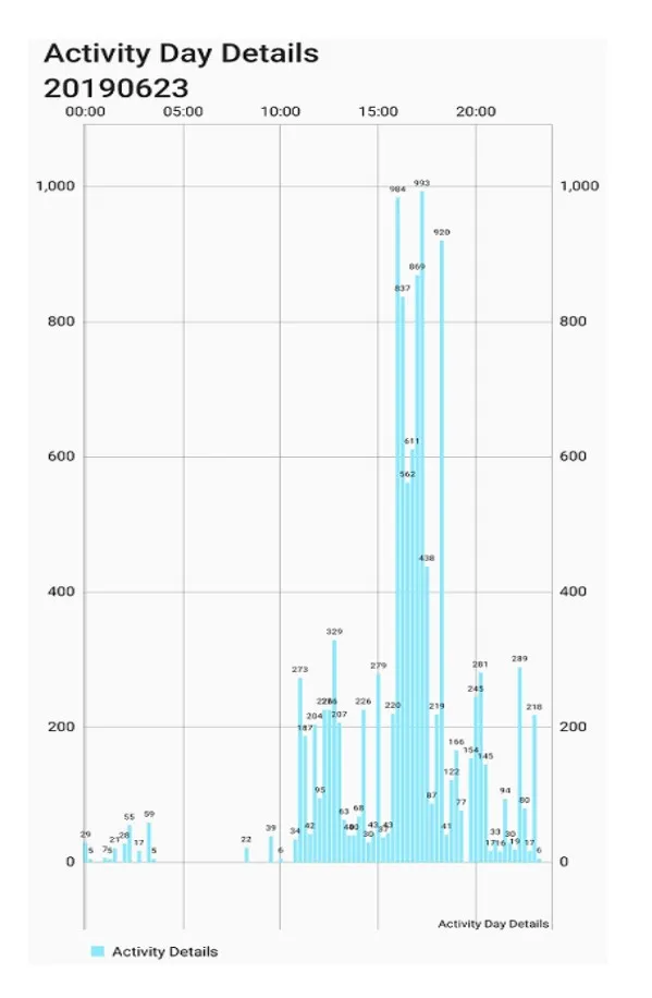 Intra day Tracking history.jpg