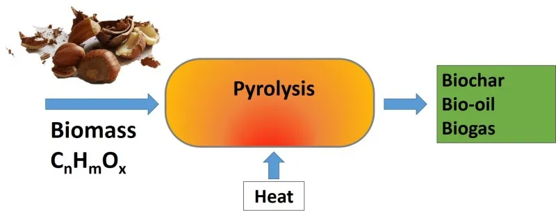 pirolisis cascaras avellanas.jpg