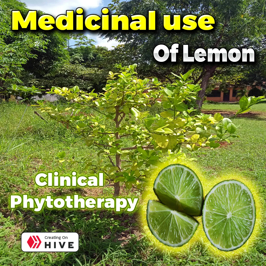 medicinal-use-of-lemon.png