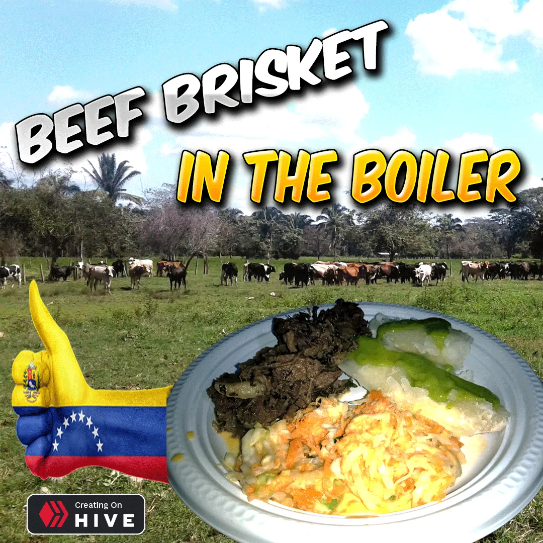 beef-brisket-in-the-boiler,-easy-and-delicious-llanero-dish.png