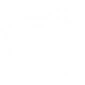 piggy (Custom).png