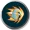 30x30 charge.png
