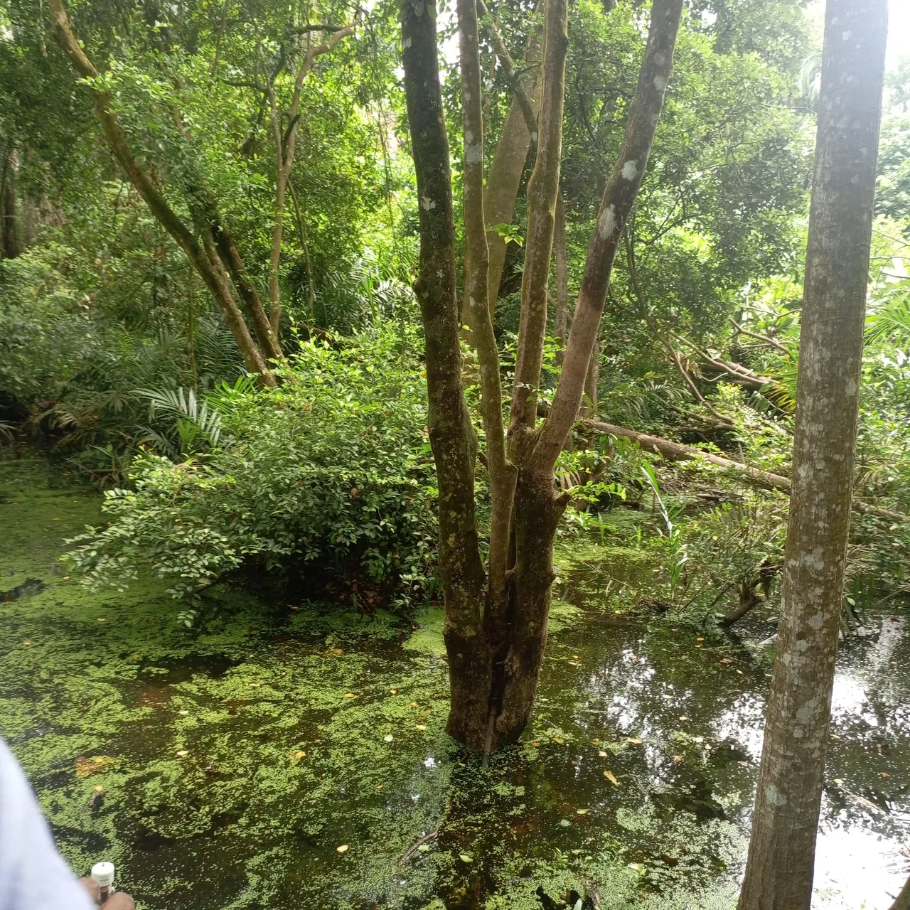 1000542083.jpg