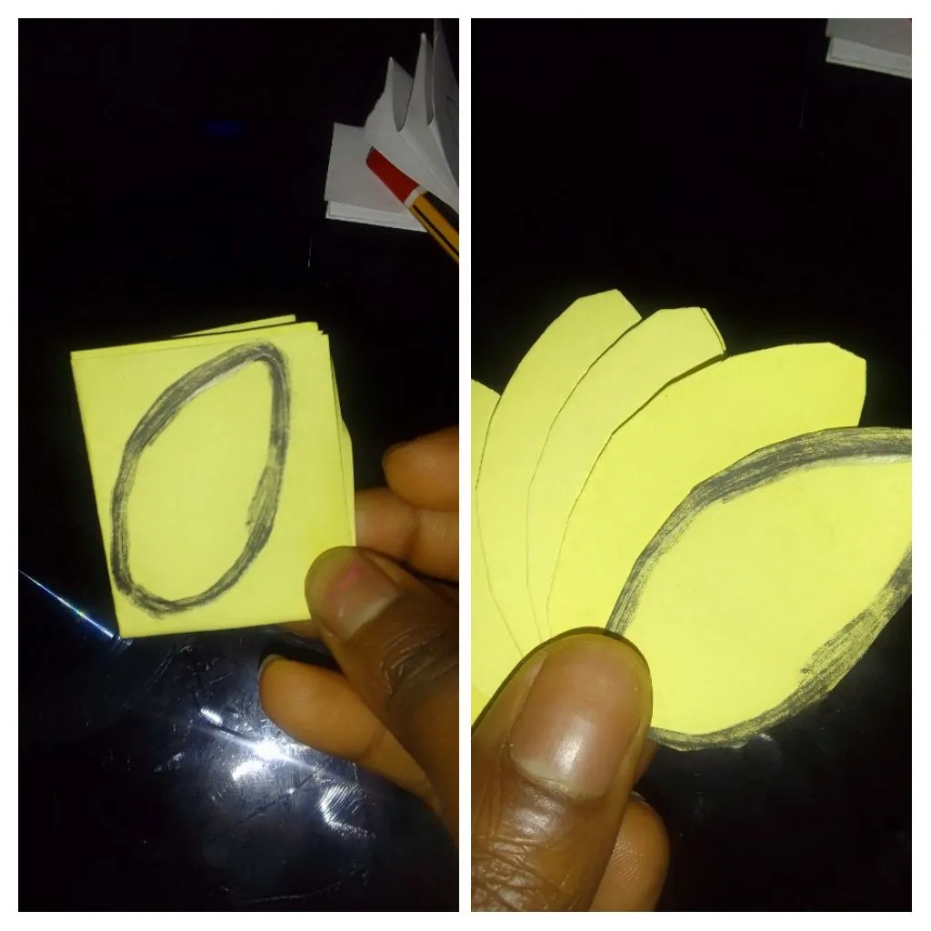 IMG_20230723_164722-COLLAGE.jpg