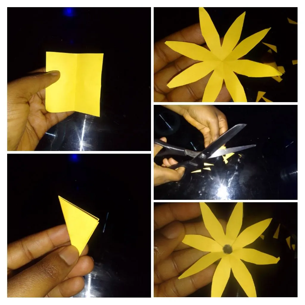 IMG_20230723_182538-COLLAGE.jpg