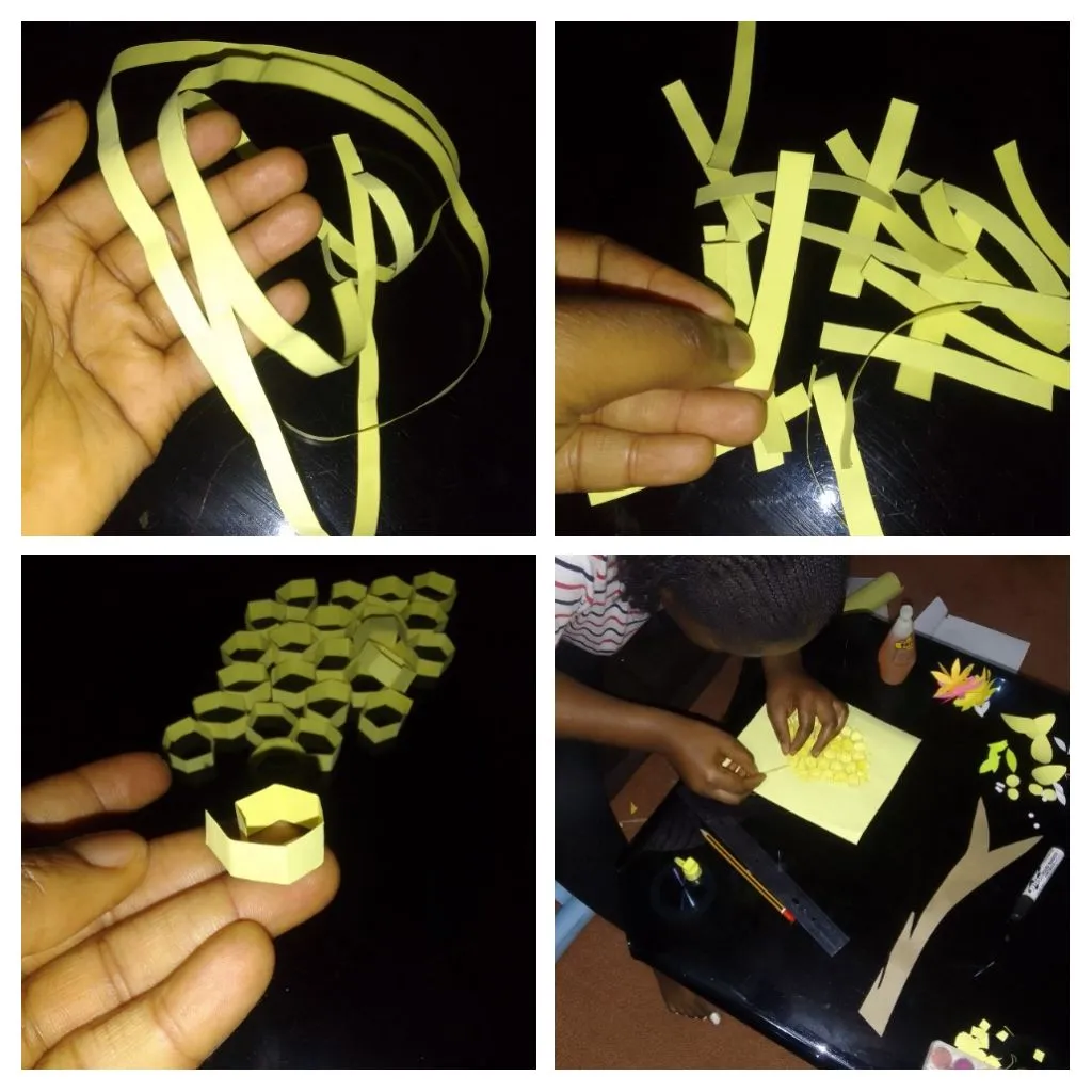 IMG_20230723_180443-COLLAGE.jpg