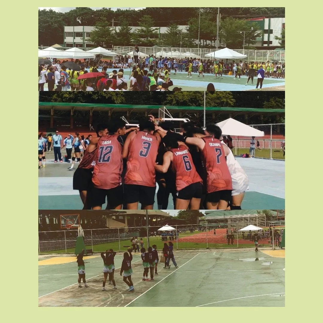 VOLLEYBALL.jpg