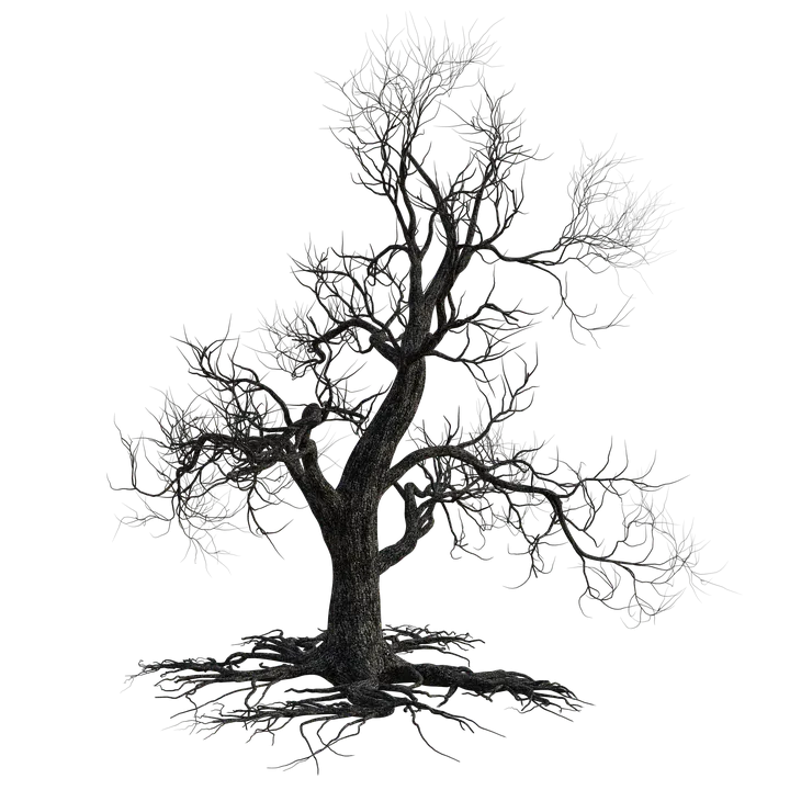 dead-tree-4567469_960_720.png