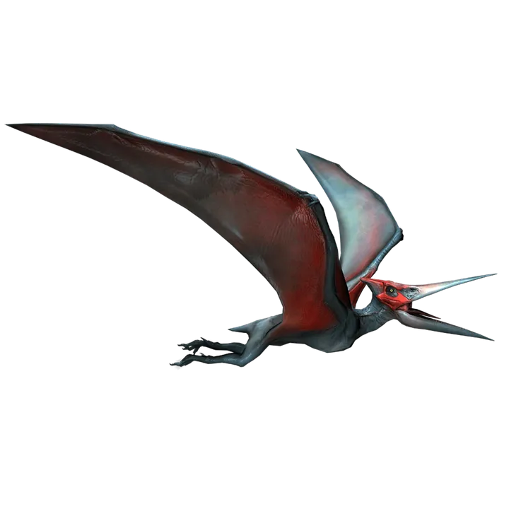 pteranodon-6286029_960_720.png