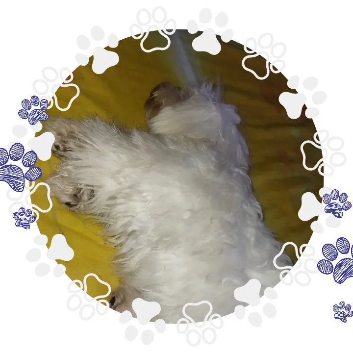 20230811_141926_0001.png