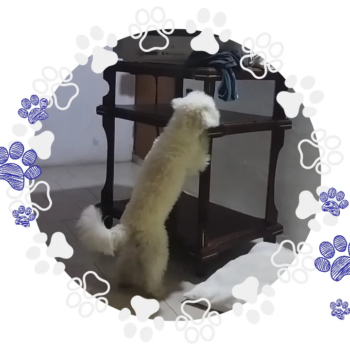 20230811_140201_0001.png