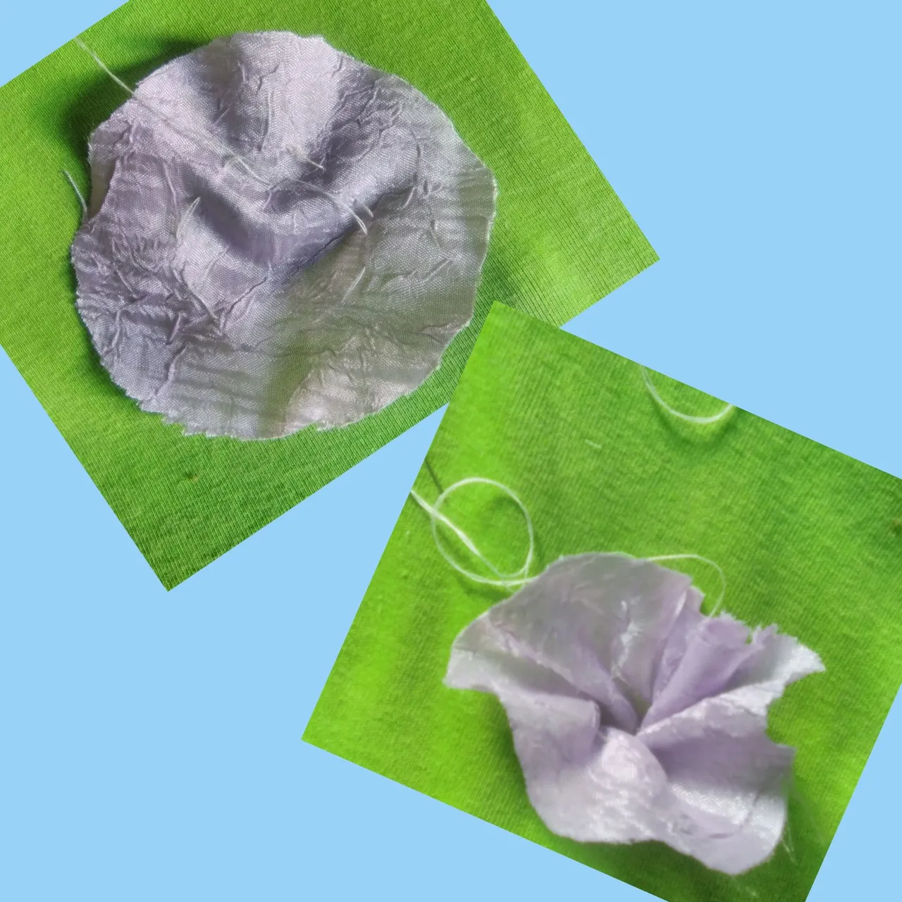 CollageMaker_20211107_150703233.jpg