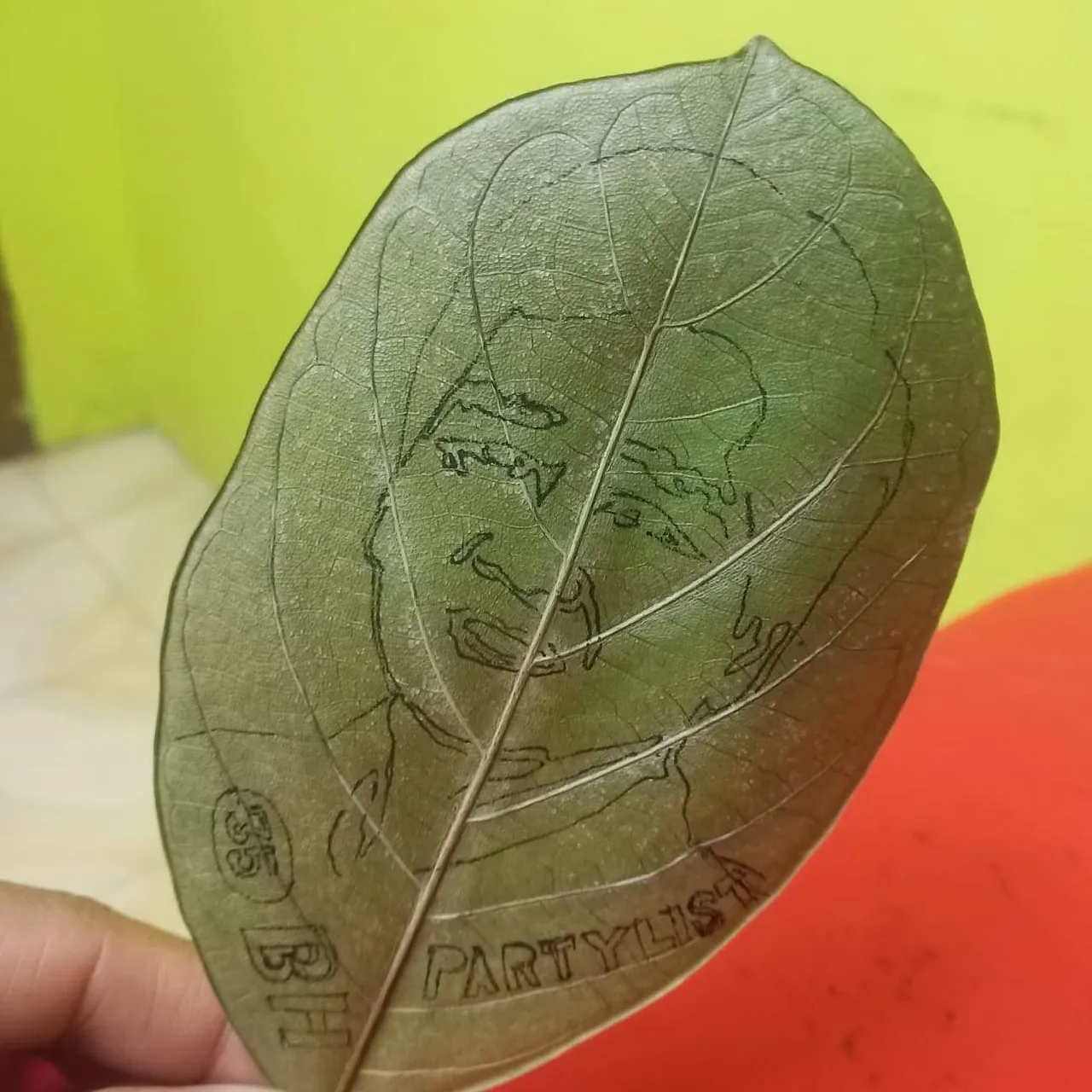 received_631981044741846.jpeg