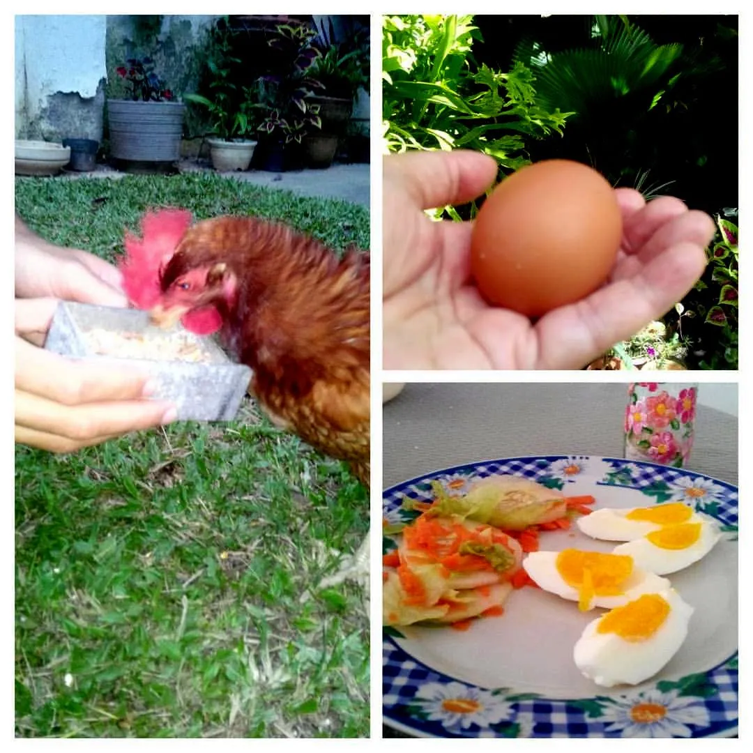 ruperta desayuno.jpg