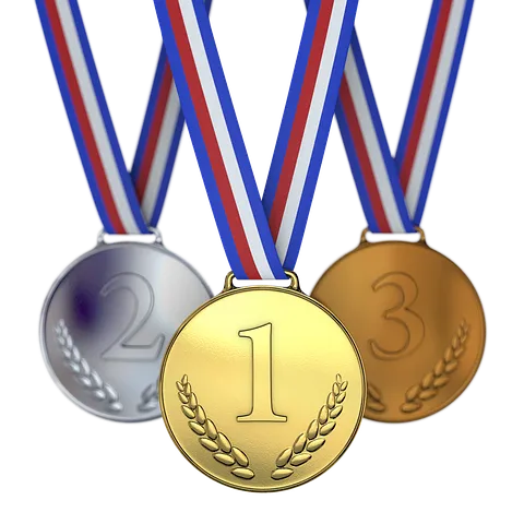 medals-1622902__480.webp.png