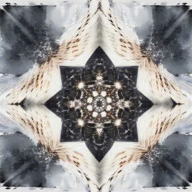 intention mandala RR.gif