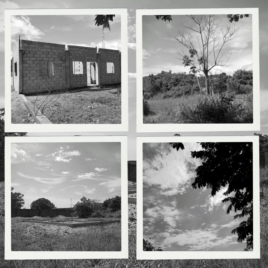 White Vintage Frame Organic Collage Instagram Post .png